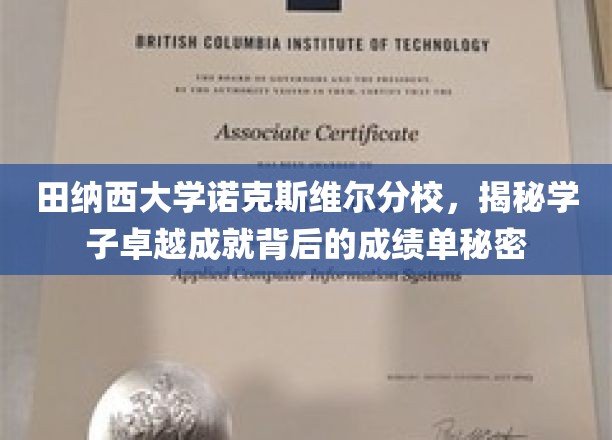 解码田纳西大学学子辉煌成就的学术秘籍